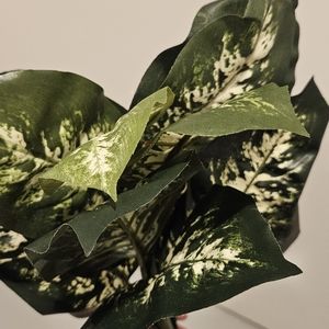 Faux Foilage